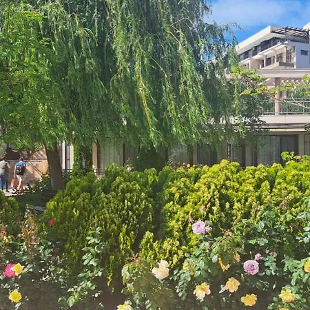 Patrick's - Sorrento Sole Mare, Свети-Влас